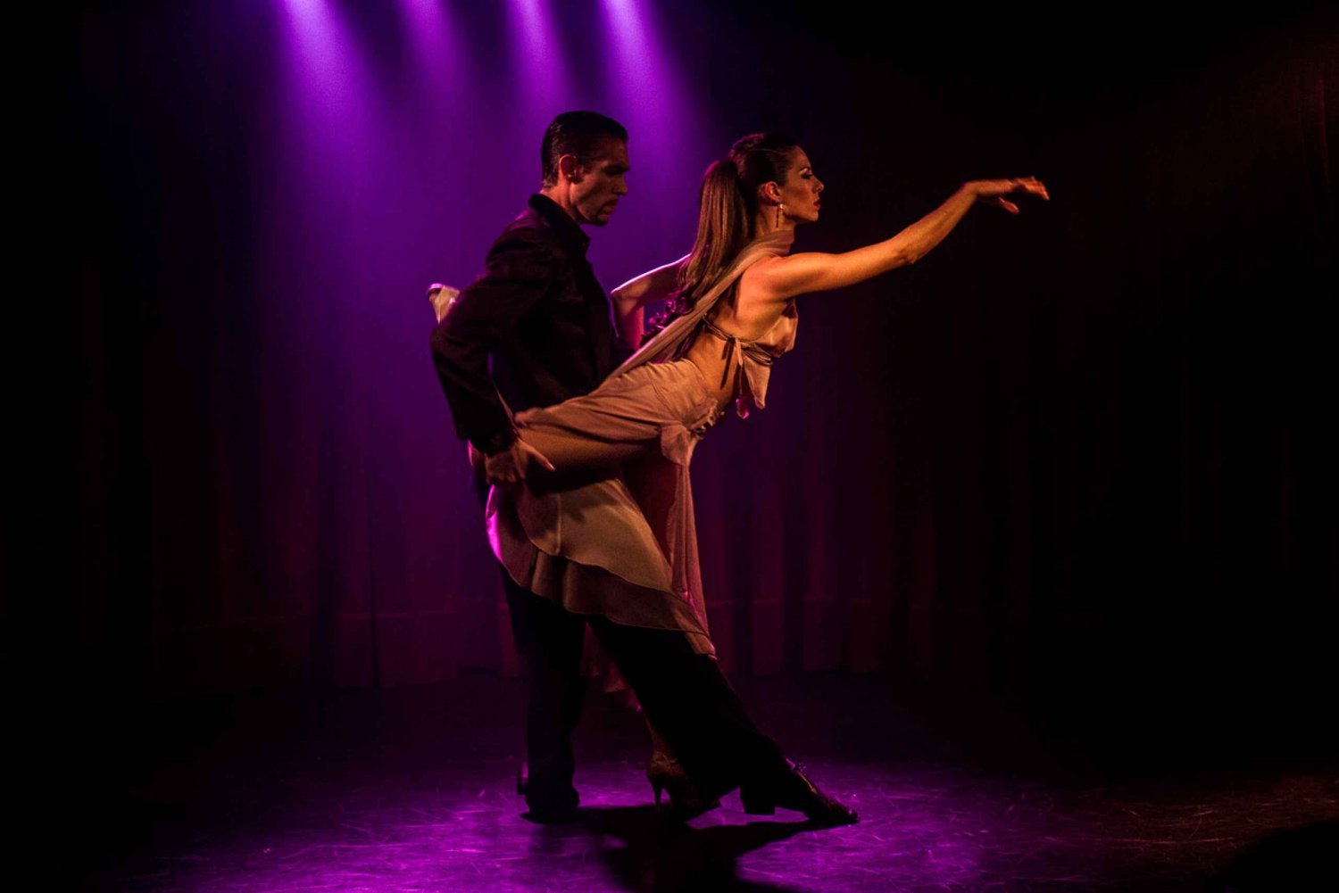 Rojo Tango Dinner and Tango Show with Private Transfers