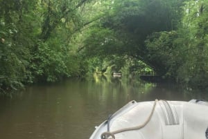 Safari delta Off the beaten path boat tour in Tigre