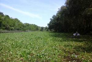 Safari delta Off the beaten path boat tour in Tigre