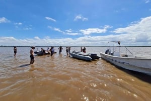 Safari delta Off the beaten path boat tour in Tigre