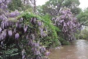 Safari delta Off the beaten path boat tour in Tigre