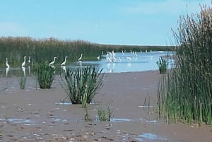 Safari delta Off the beaten path boat tour in Tigre