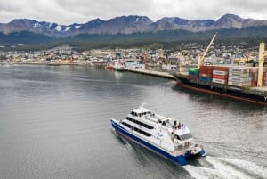 Sail: Beagle Channel and Les Eclaireurs Lighthouse