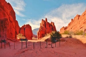 Vanuit Salta: Cafayate, land van wijnen en imposante ravijnen