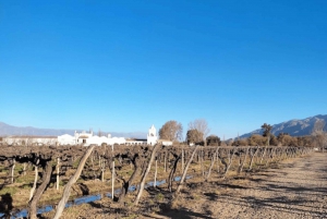 Desde Salta: Cafayate, tierra de vinos e imponentes quebradas