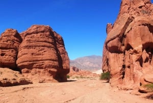 Desde Salta: Excursiones de día completo por Cafayate y Cachi