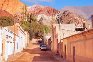 Depuis Salta : Excursions d'une journée à Cafayate et Salinas Grandes