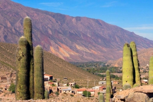 De Salta: Cachi, Humahuaca e Salinas Grandes em 3 dias