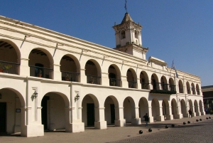 Salta: Stadsrondleiding met gids met halve dag, kathedraal en museum