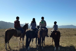 Salta: Horseback Riding in the Mountains