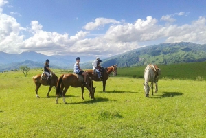 Salta: Horseback Riding in the Mountains