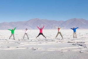 Salta: Safari to the Clouds & Salinas Grandes by 4x4