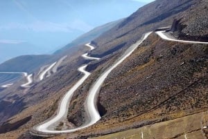 Salta: Safari to the Clouds & Salinas Grandes by 4x4