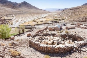 Salta: Safari to the Clouds & Salinas Grandes by 4x4