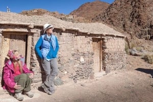 Salta: Safari to the Clouds & Salinas Grandes by 4x4