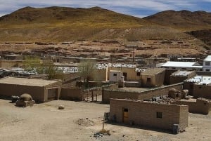 Salta: Safari to the Clouds & Salinas Grandes by 4x4