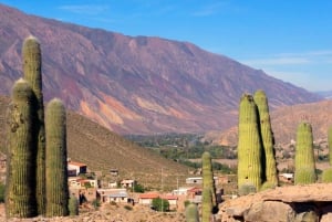 Fra Salta: Serranías del Hornocal & Bakken med de 14 farver Tour