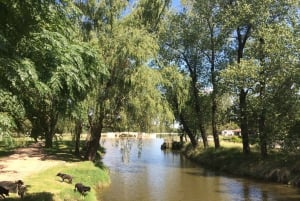 Heldagstur til San Antonio de Areco og Lujan fra Buenos Aires