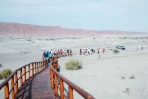 San Juan : Parc national d'Ischigualasto - Vallée de la Lune