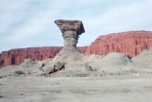 San Juan : Parc national d'Ischigualasto - Vallée de la Lune