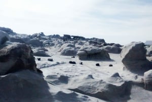 San Juan : Parc national d'Ischigualasto - Vallée de la Lune