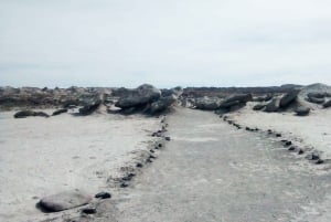 San Juan : Parc national d'Ischigualasto - Vallée de la Lune