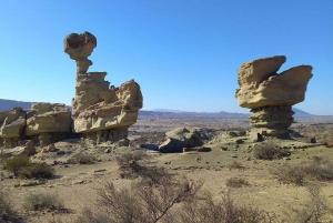 San Juan: Ischigualasto Park Valley of the Moon Tour