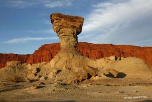 San Juan: Ischigualasto Park Valley of the Moon Tour
