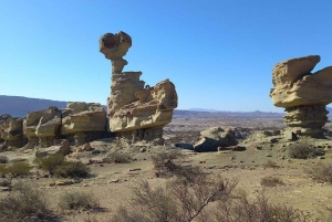 Сан-Хуан: Экскурсия в парк Исчигуаласто «Долина Луны»