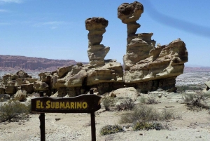 Сан-Хуан: Экскурсия в парк Исчигуаласто «Долина Луны»