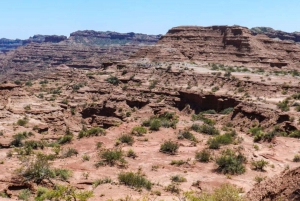 San Luis: Udflugt og vandretur i Sierra de las Quijadas Nationalpark