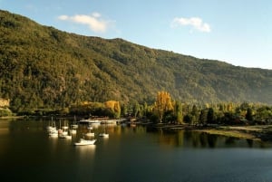 San Martín de los Andes: Sieben-Seen-Tour