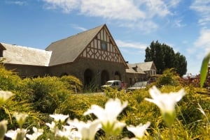 San Martín de los Andes por 7 Lagos