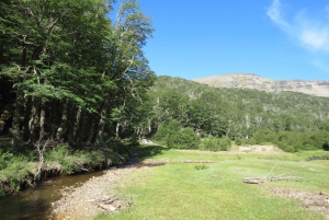 Sightseeingtour San Martín de los Andes: Mallin Grande