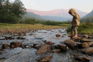 Sightseeingtour San Martín de los Andes: Mallin Grande