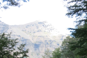 Sightseeingtour San Martín de los Andes: Mallin Grande