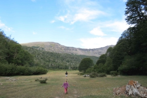 Sightseeingtour San Martín de los Andes: Mallin Grande