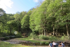 Sightseeingtour San Martín de los Andes: Mallin Grande