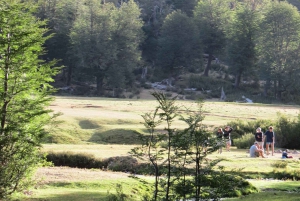 Sightseeingtour San Martín de los Andes: Mallin Grande