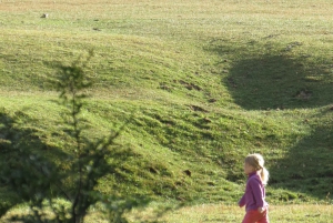 Sightseeingtour San Martín de los Andes: Mallin Grande