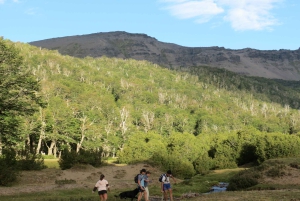 Sightseeingtour San Martín de los Andes: Mallin Grande