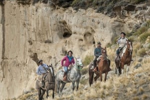 Santa Cruz: Cañadones & Monturas Cabalgata Erlebnis
