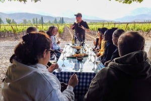 Santiago: Inca Lagoon Tour with Local Vineyard and Tasting