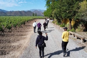 Santiago: Inca Lagoon Tour with Local Vineyard and Tasting