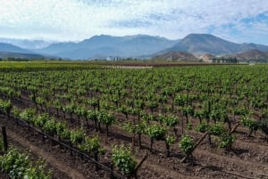 Santiago: Inca Lagoon Tour with Local Vineyard and Tasting