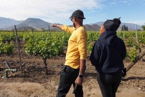 Santiago: Inka-lagunetur med lokal vingård og smagning