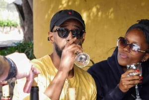 Santiago: Inka-lagunetur med lokal vingård og smagning