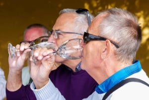 Santiago: Inka-lagunetur med lokal vingård og smagning