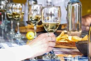 Santiago: Inka-lagunetur med lokal vingård og smagning