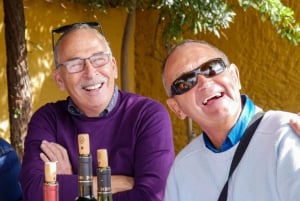 Santiago: Inka-lagunetur med lokal vingård og smagning